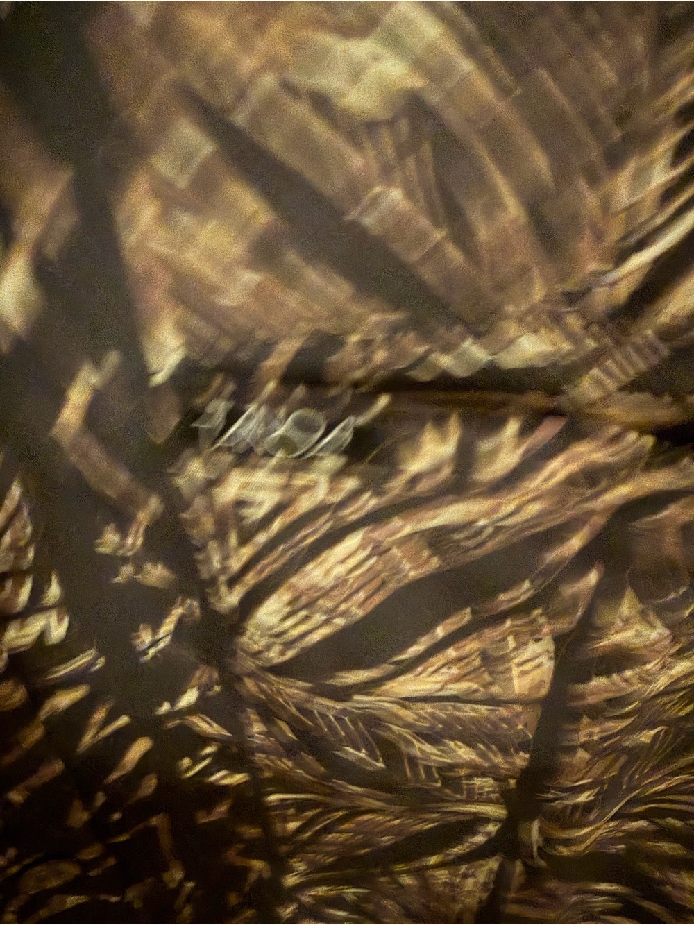 Tanoa Tribal Print Hawaiian Camp Shirt 2XL - Picture 3 of 5